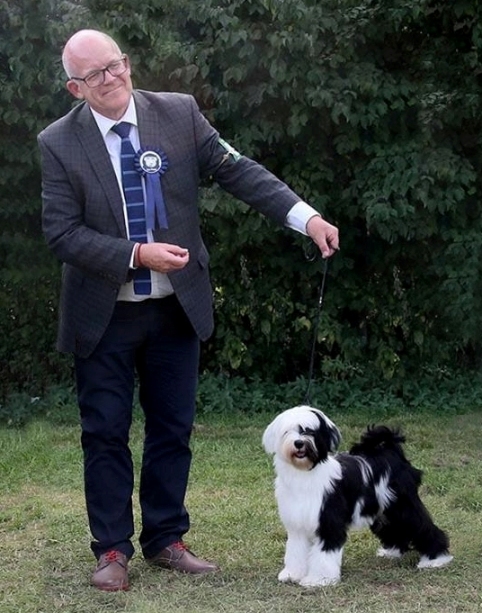 Kybo sales tibetan terriers